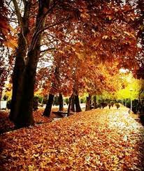 Sarcheshmeh Saraban Natanz Park